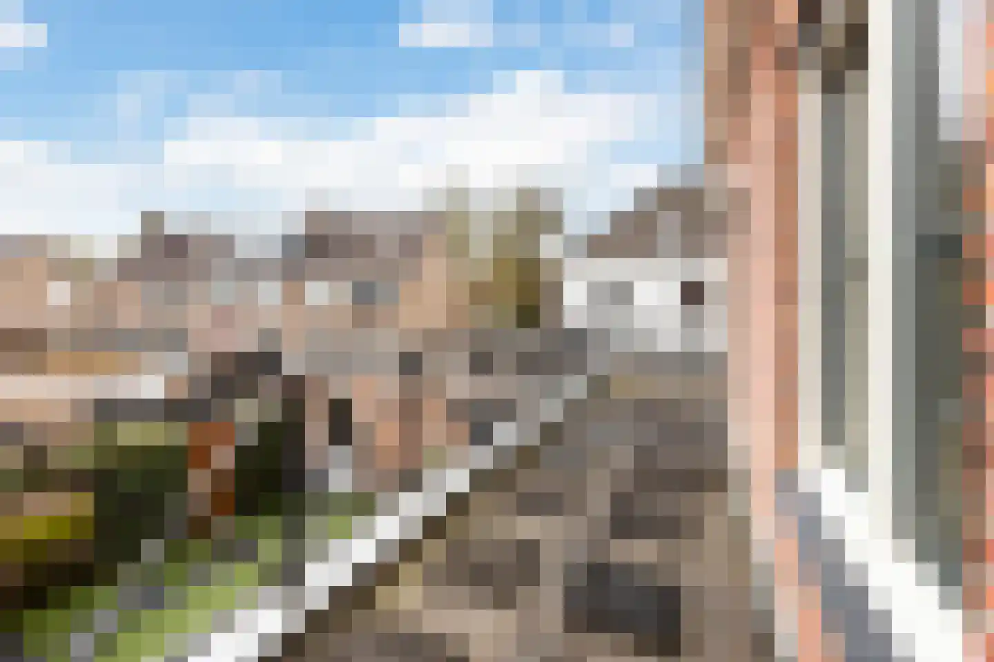Gelderse Roos 109 Scherpenzeel thumbnail 59