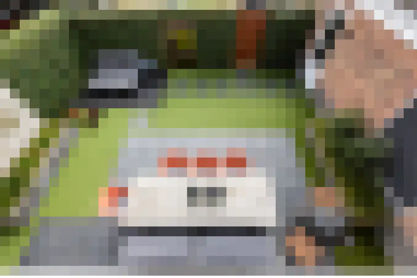 Gelderse Roos 109 Scherpenzeel thumbnail 60