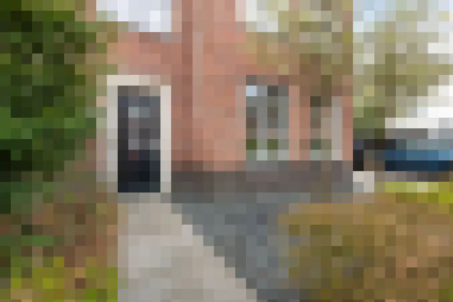 Gelderse Roos 109 Scherpenzeel thumbnail 9
