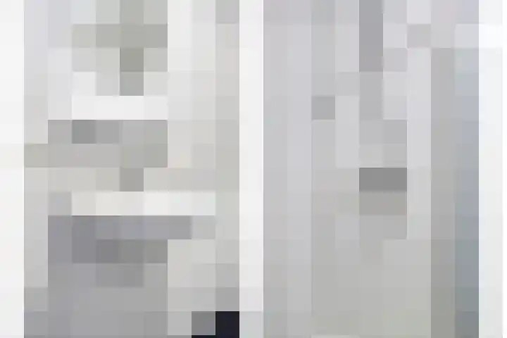Gelderse Roos 44 Scherpenzeel thumbnail 11