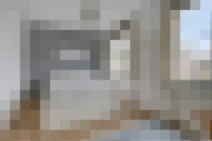 Gelderse Roos 44 Scherpenzeel thumbnail 12