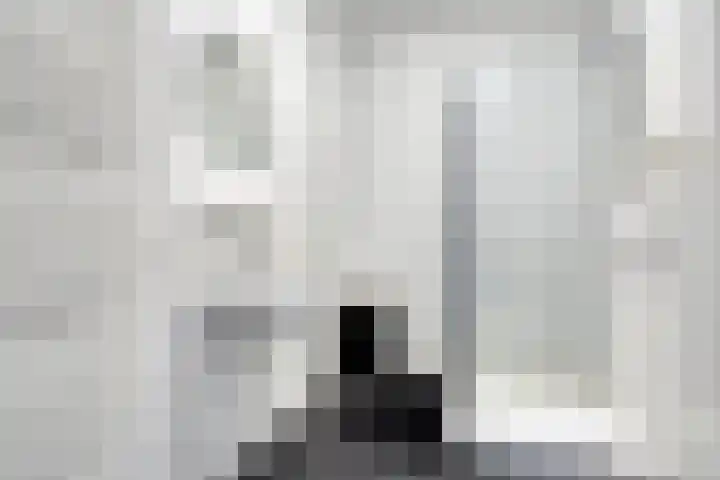 Gelderse Roos 44 Scherpenzeel thumbnail 14