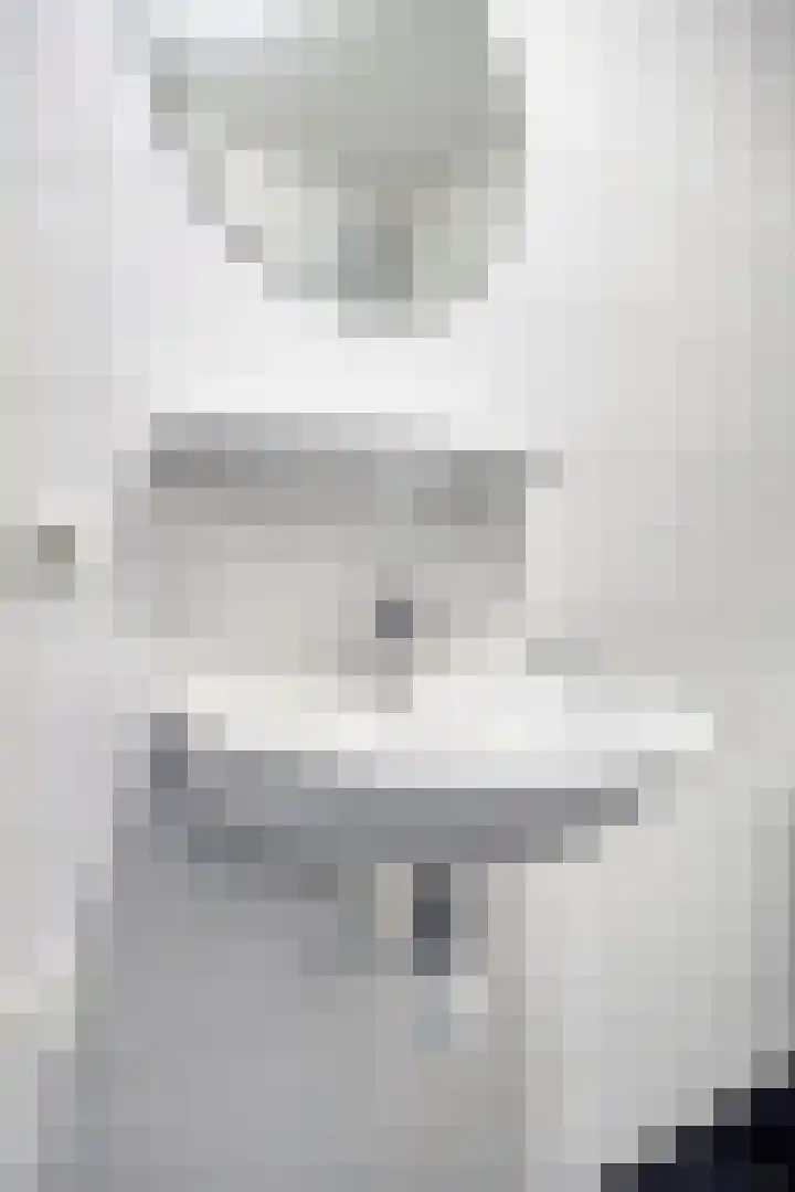 Gelderse Roos 44 Scherpenzeel thumbnail 15