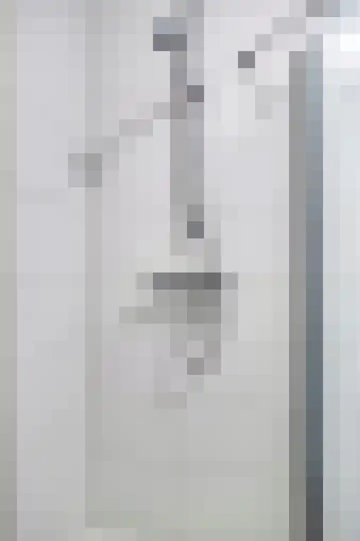 Gelderse Roos 44 Scherpenzeel thumbnail 16