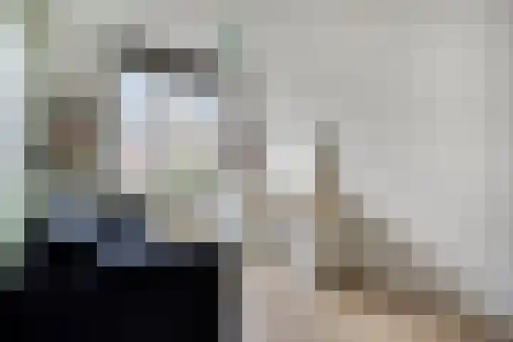 Gelderse Roos 44 Scherpenzeel thumbnail 17