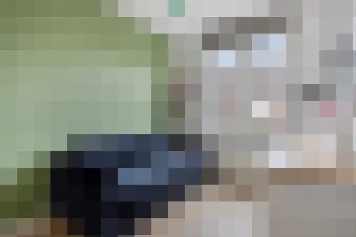 Gelderse Roos 44 Scherpenzeel thumbnail 18
