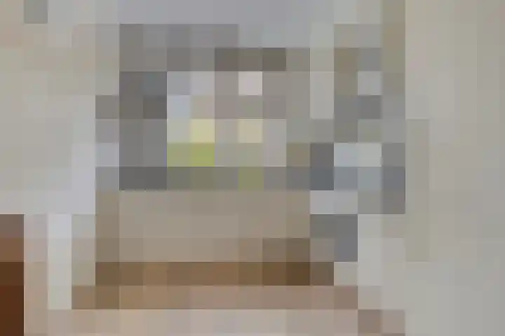 Gelderse Roos 44 Scherpenzeel foto 2