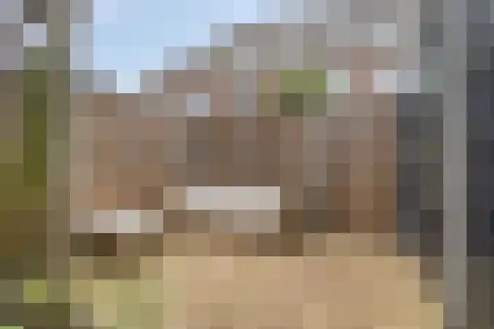 Gelderse Roos 44 Scherpenzeel thumbnail 29