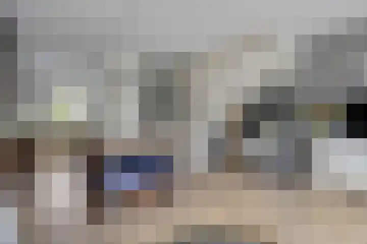 Gelderse Roos 44 Scherpenzeel foto 3