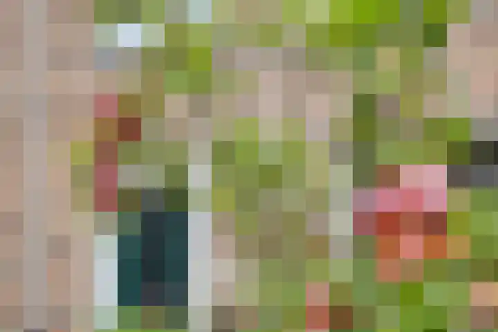 Gelderse Roos 44 Scherpenzeel thumbnail 30