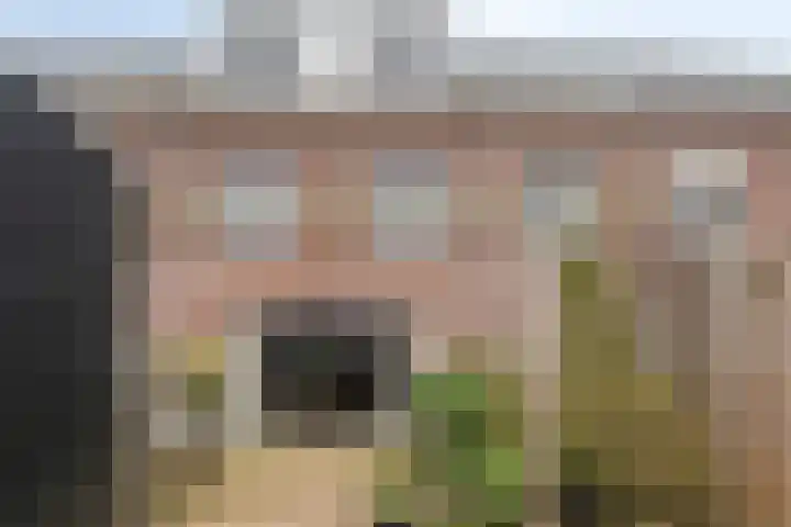 Gelderse Roos 44 Scherpenzeel thumbnail 31