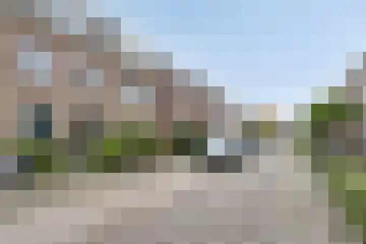 Gelderse Roos 44 Scherpenzeel thumbnail 33