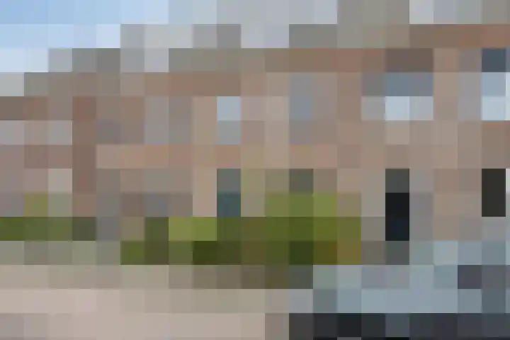 Gelderse Roos 44 Scherpenzeel thumbnail 35