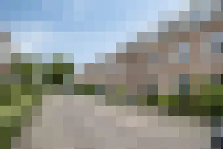 Gelderse Roos 44 Scherpenzeel thumbnail 36