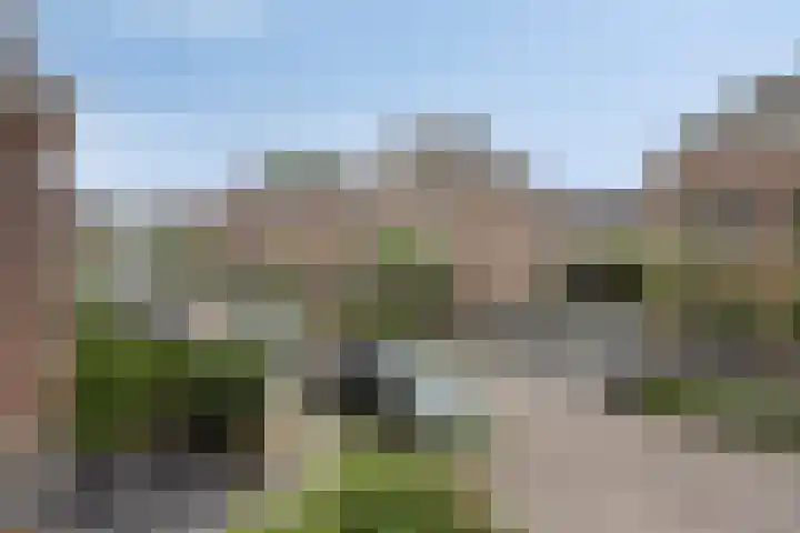 Gelderse Roos 44 Scherpenzeel thumbnail 37