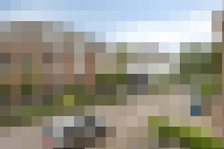 Gelderse Roos 44 Scherpenzeel thumbnail 38