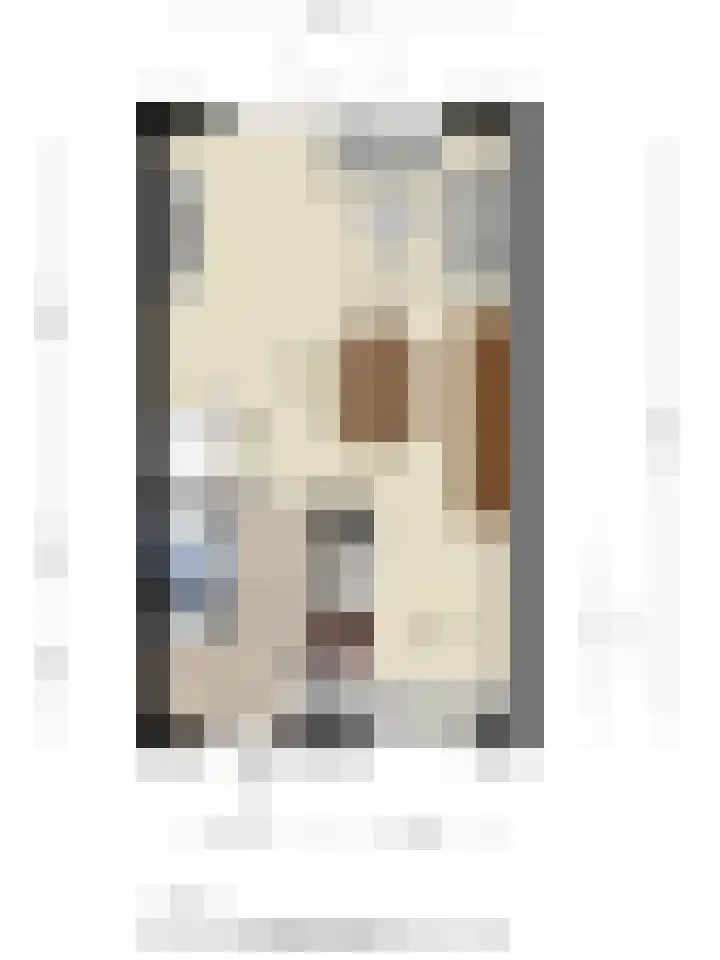 Gelderse Roos 44 Scherpenzeel thumbnail 39