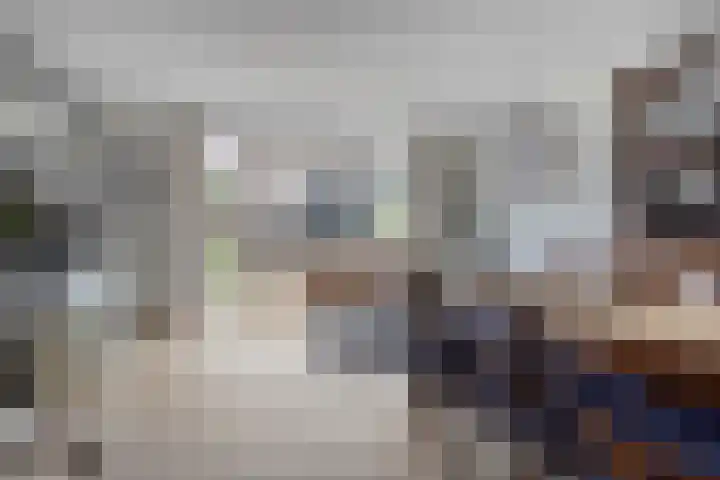 Gelderse Roos 44 Scherpenzeel thumbnail 4