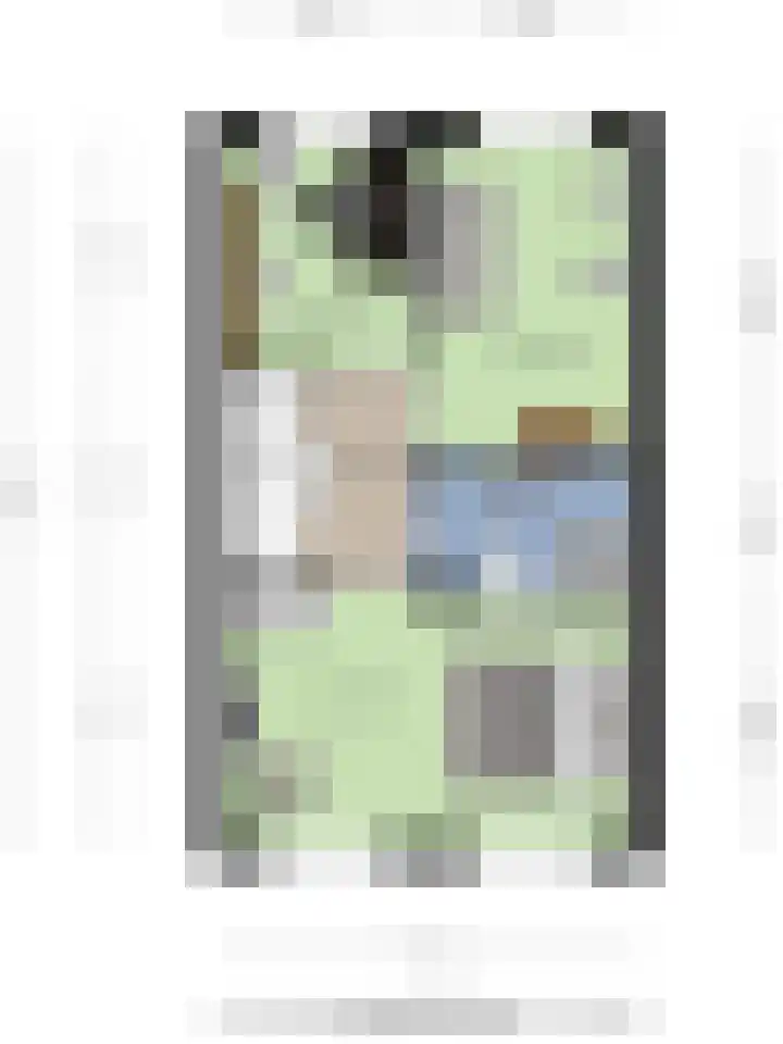 Gelderse Roos 44 Scherpenzeel thumbnail 40