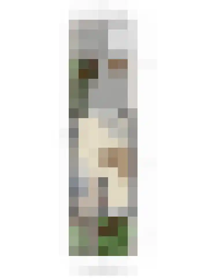 Gelderse Roos 44 Scherpenzeel thumbnail 44