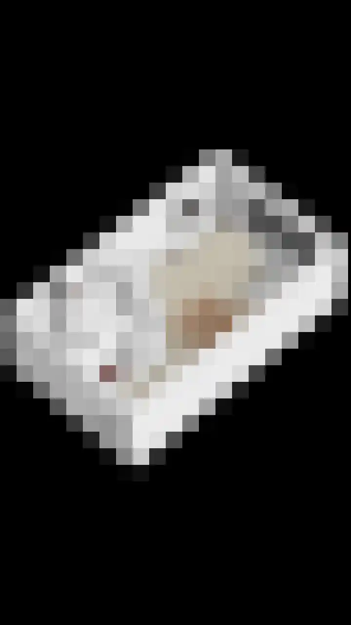 Gelderse Roos 44 Scherpenzeel thumbnail 45