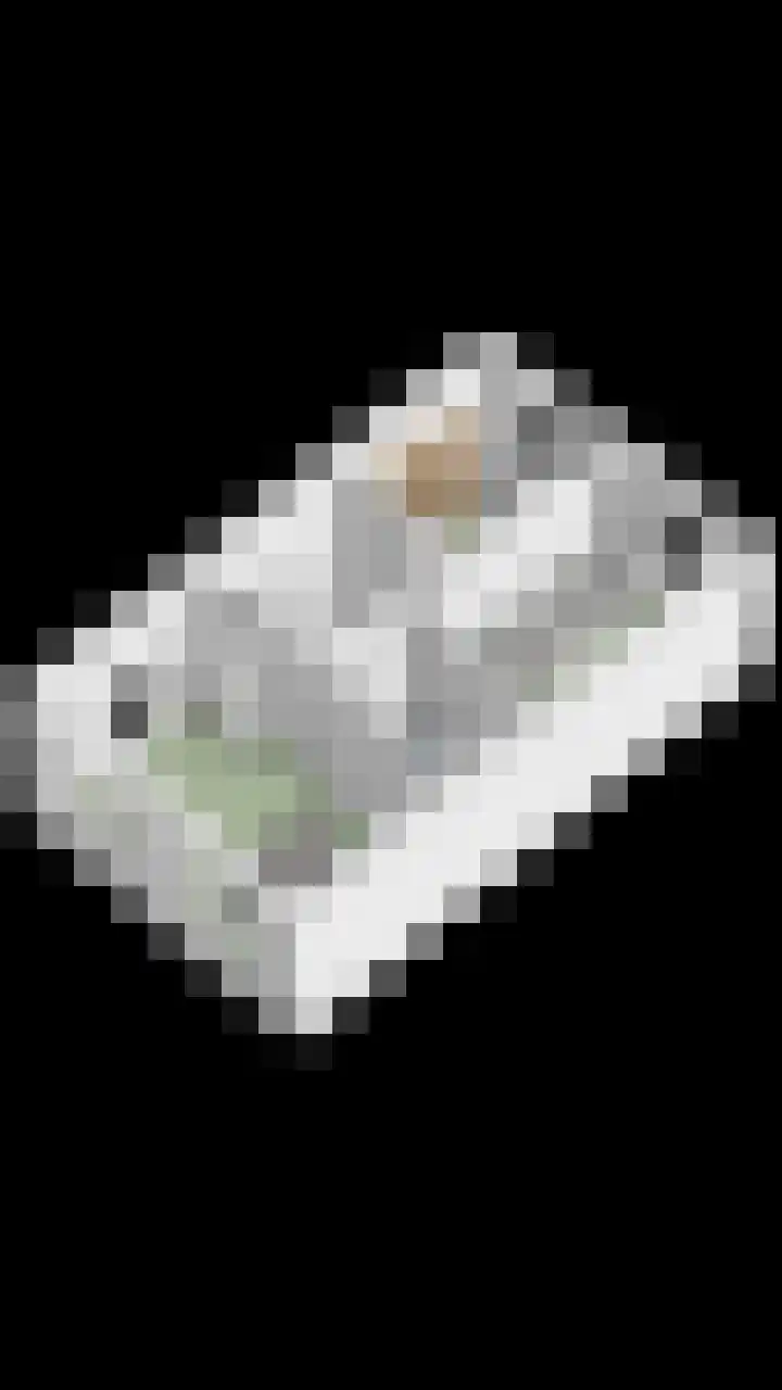 Gelderse Roos 44 Scherpenzeel thumbnail 46