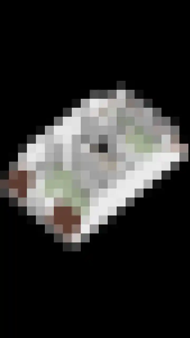 Gelderse Roos 44 Scherpenzeel thumbnail 47