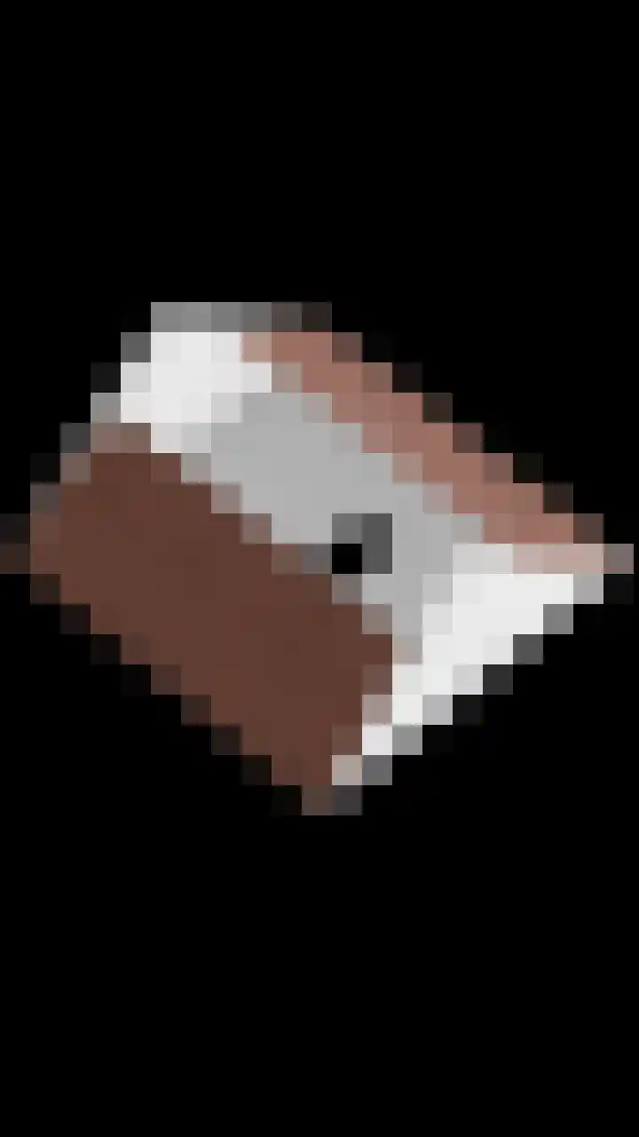 Gelderse Roos 44 Scherpenzeel thumbnail 48