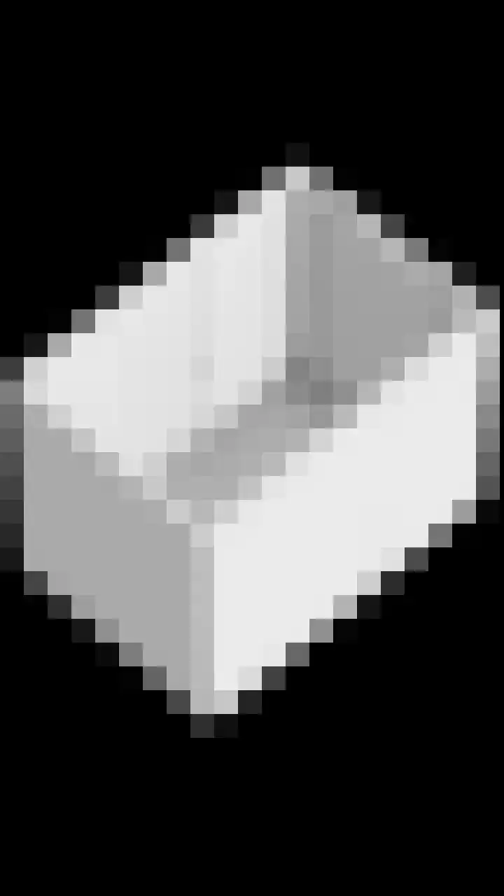 Gelderse Roos 44 Scherpenzeel thumbnail 49