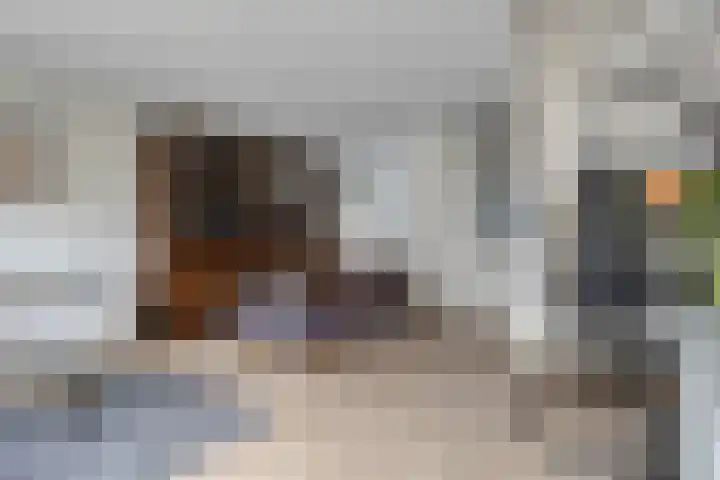 Gelderse Roos 44 Scherpenzeel thumbnail 5