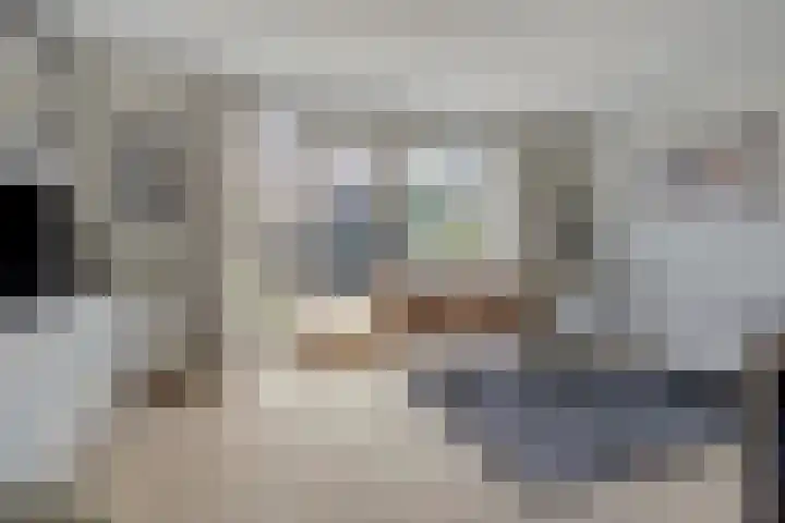 Gelderse Roos 44 Scherpenzeel thumbnail 6