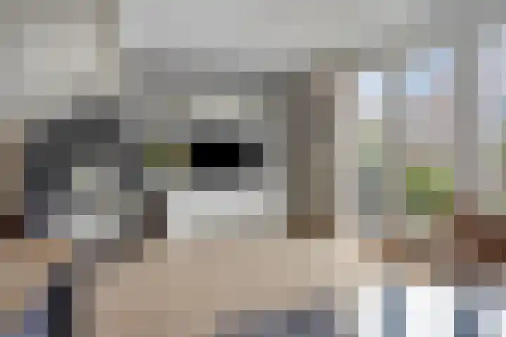 Gelderse Roos 44 Scherpenzeel thumbnail 7