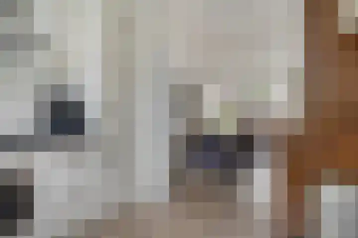 Gelderse Roos 44 Scherpenzeel thumbnail 8
