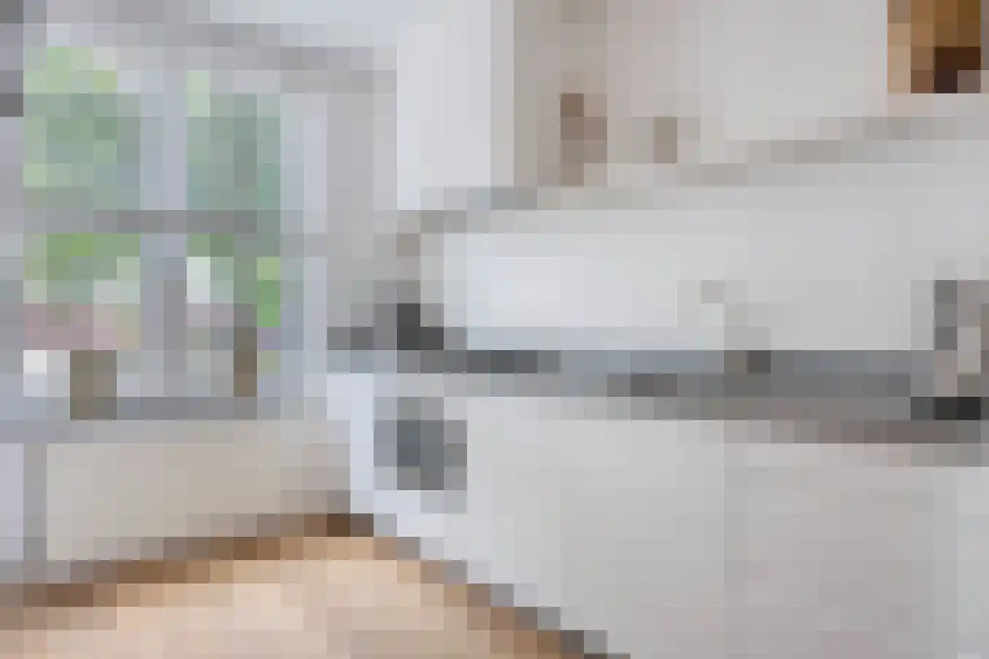Gelderse Roos 6 Scherpenzeel thumbnail 10