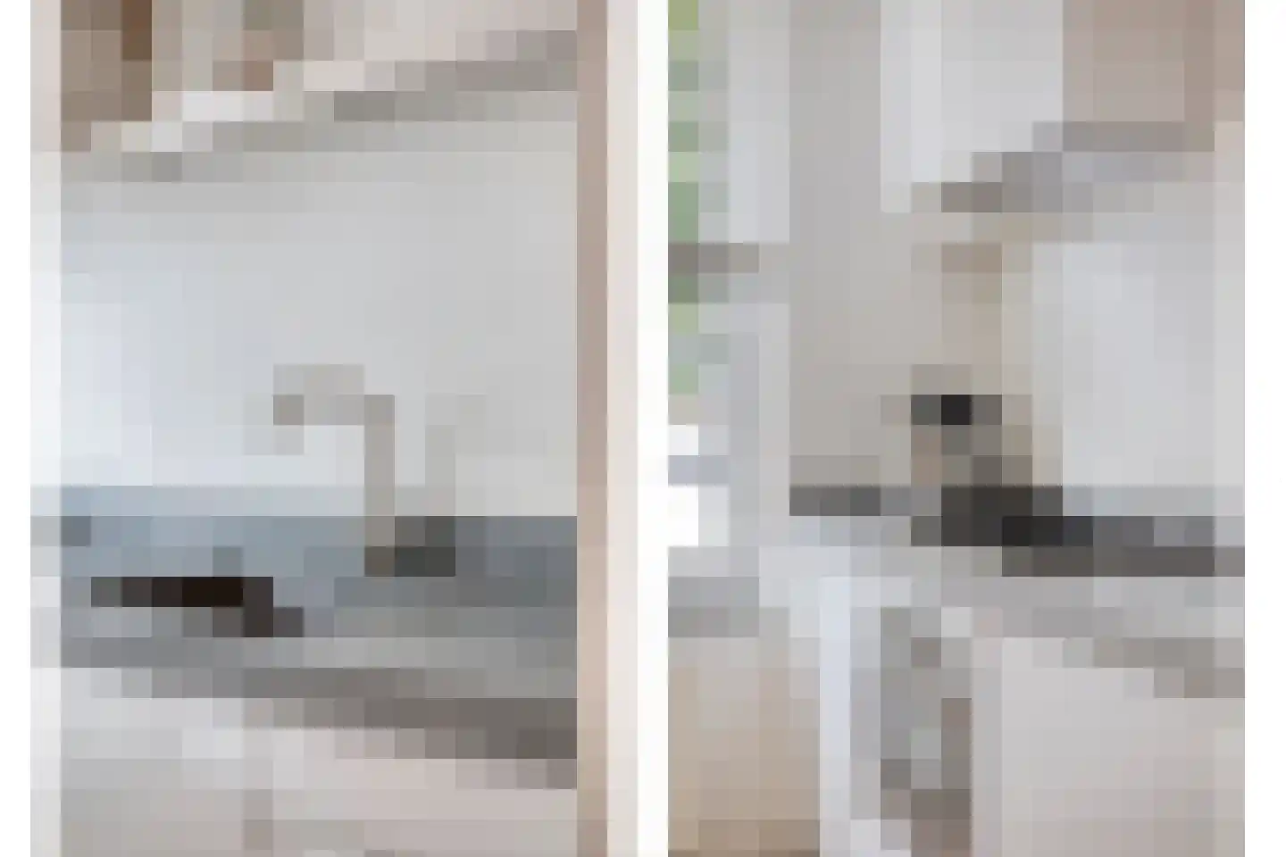 Gelderse Roos 6 Scherpenzeel thumbnail 11