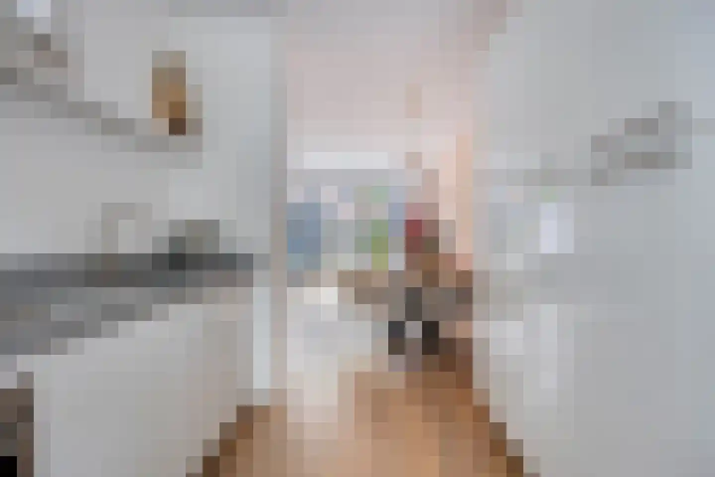 Gelderse Roos 6 Scherpenzeel thumbnail 12