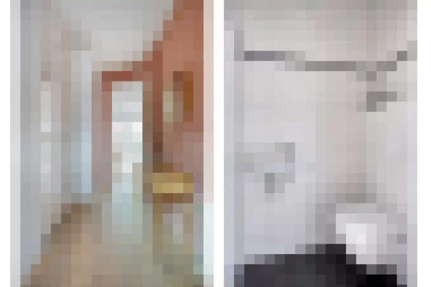 Gelderse Roos 6 Scherpenzeel thumbnail 13