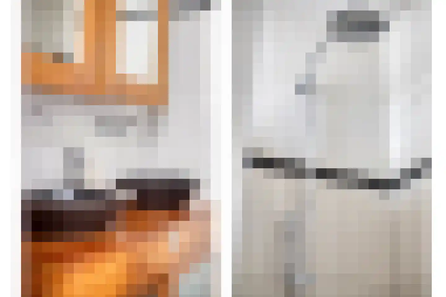 Gelderse Roos 6 Scherpenzeel thumbnail 15