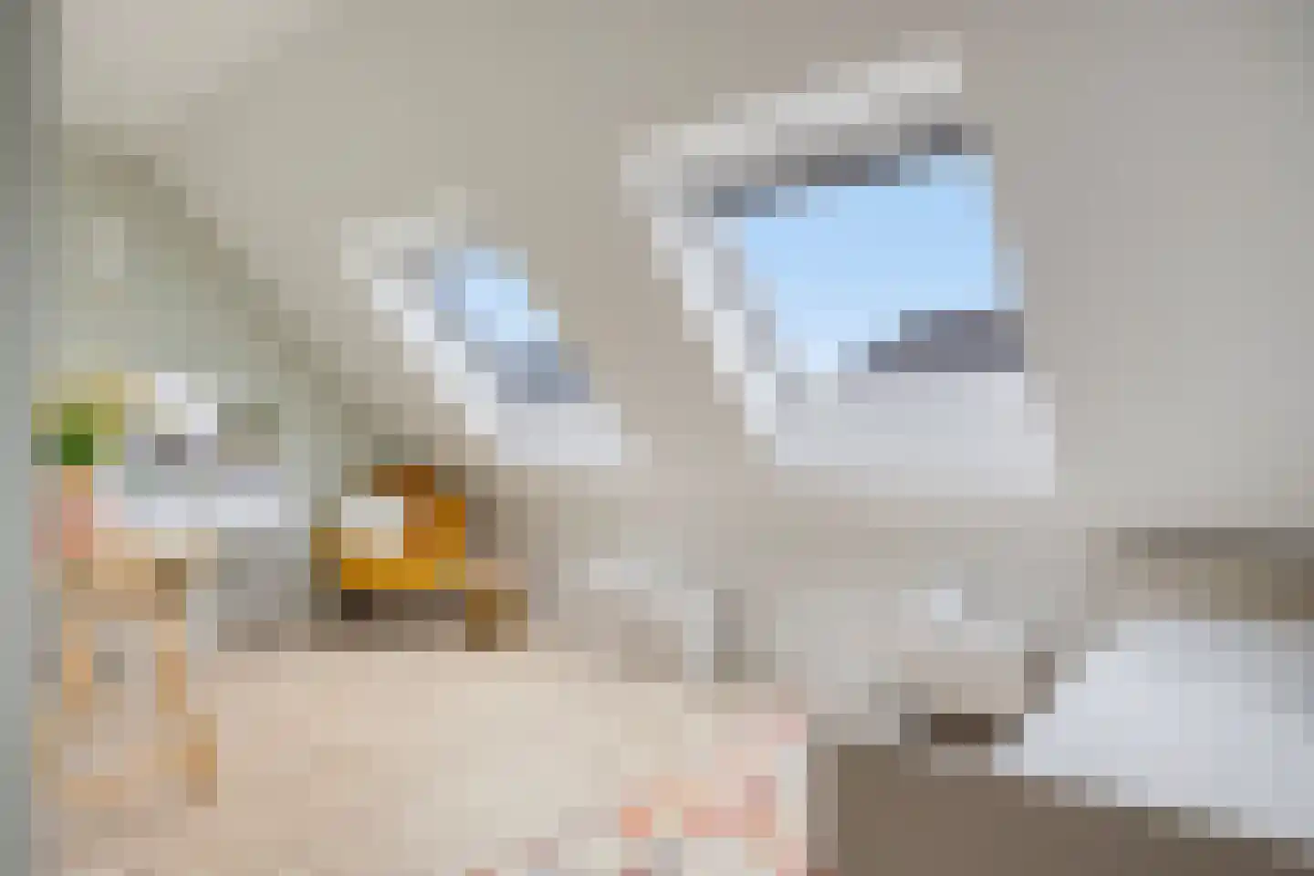 Gelderse Roos 6 Scherpenzeel thumbnail 23