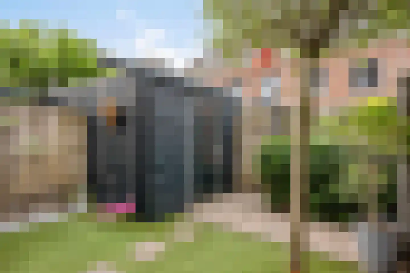 Gelderse Roos 6 Scherpenzeel thumbnail 28