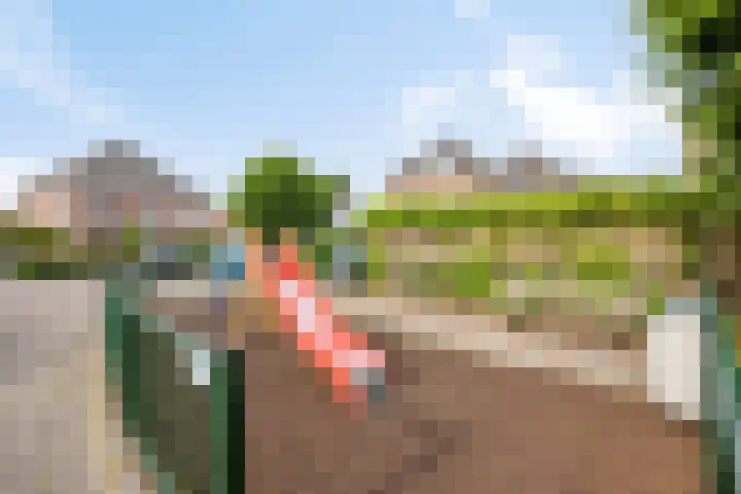 Gelderse Roos 6 Scherpenzeel thumbnail 32