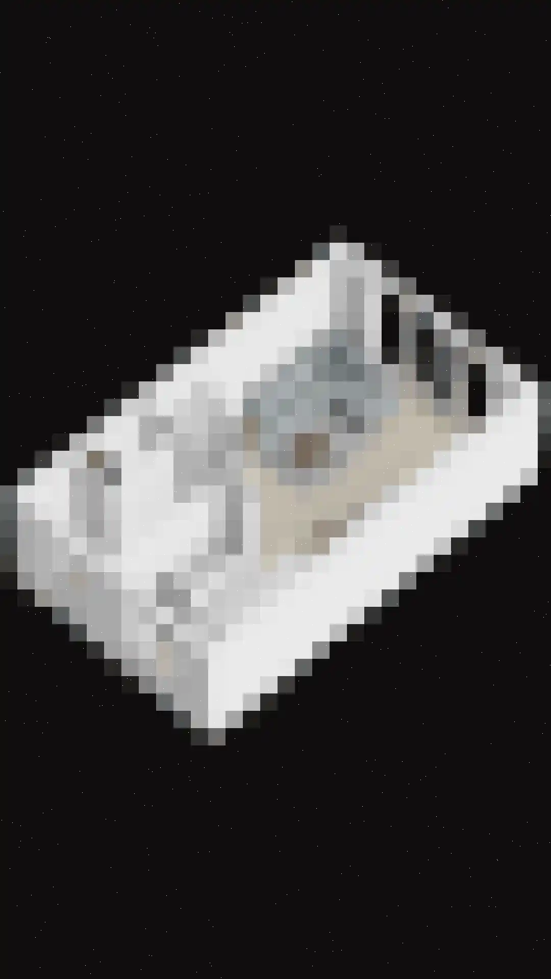 Gelderse Roos 6 Scherpenzeel thumbnail 41