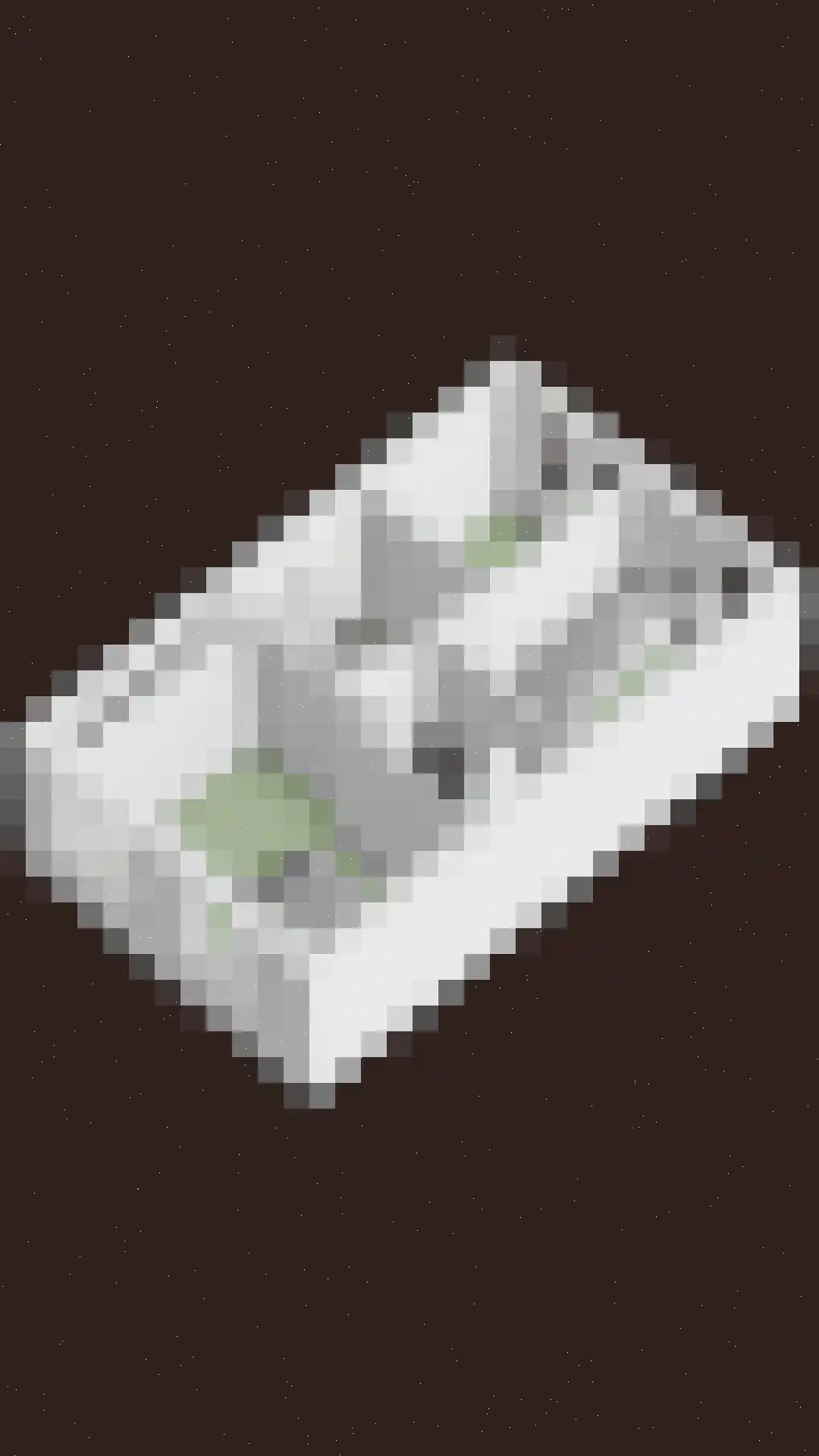Gelderse Roos 6 Scherpenzeel thumbnail 42