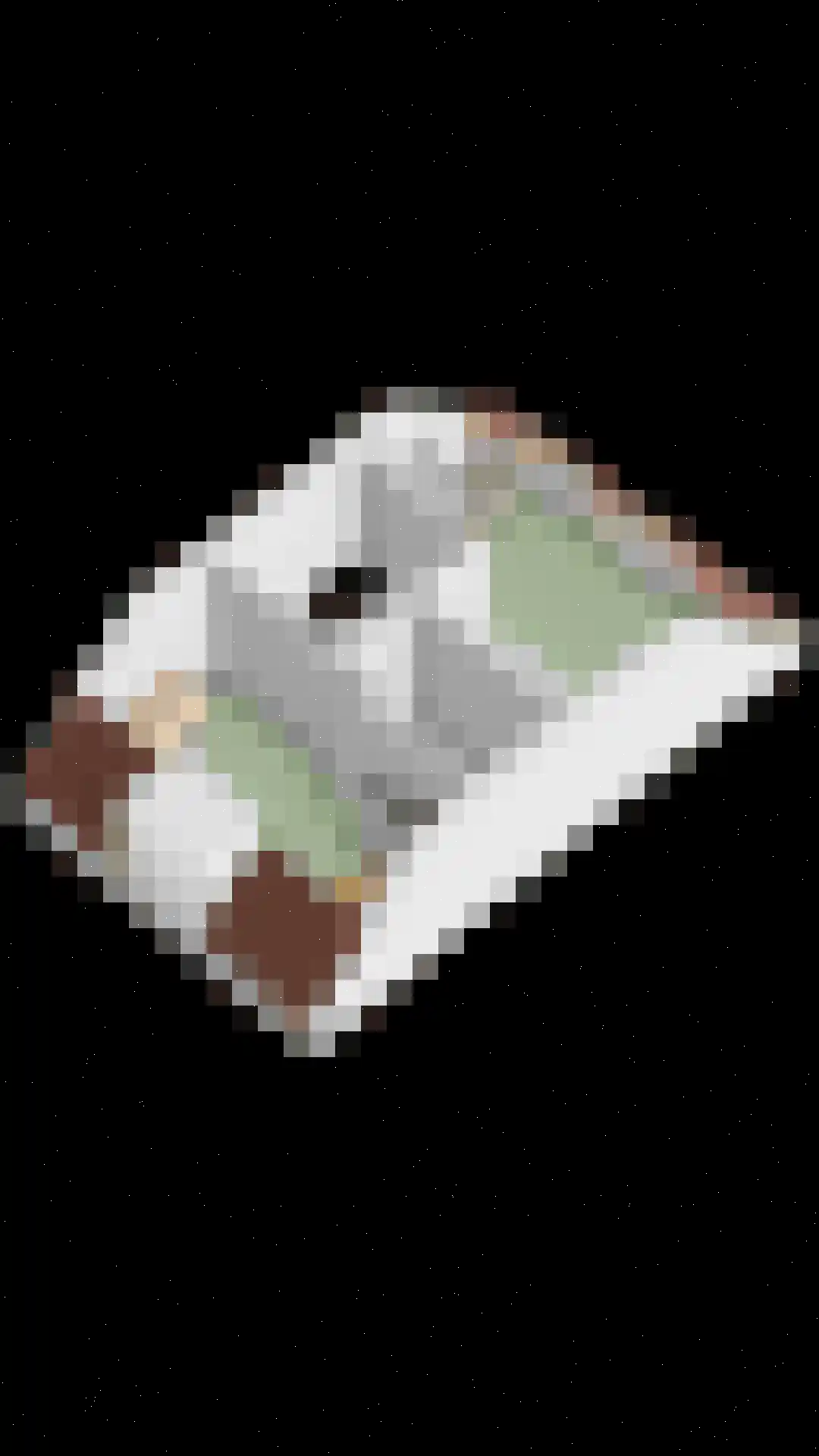 Gelderse Roos 6 Scherpenzeel thumbnail 43