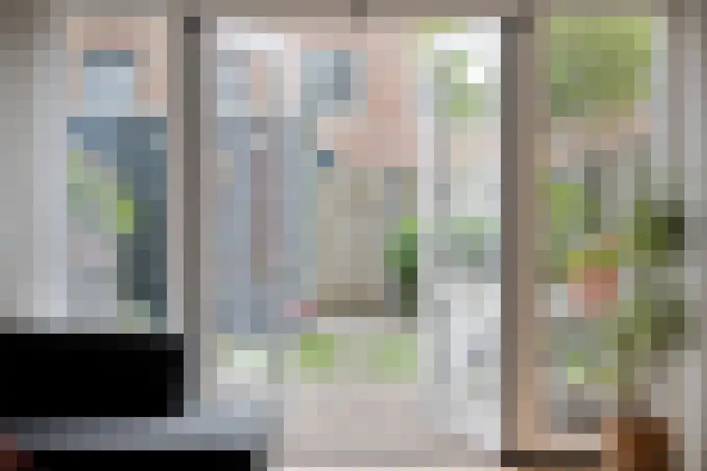 Gelderse Roos 6 Scherpenzeel thumbnail 6