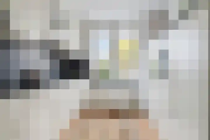 Gelderse Roos 8 Scherpenzeel thumbnail 10