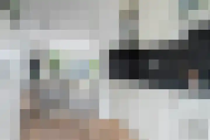 Gelderse Roos 8 Scherpenzeel thumbnail 11