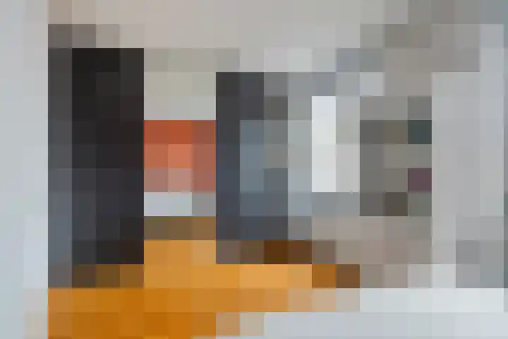 Gelderse Roos 8 Scherpenzeel thumbnail 14