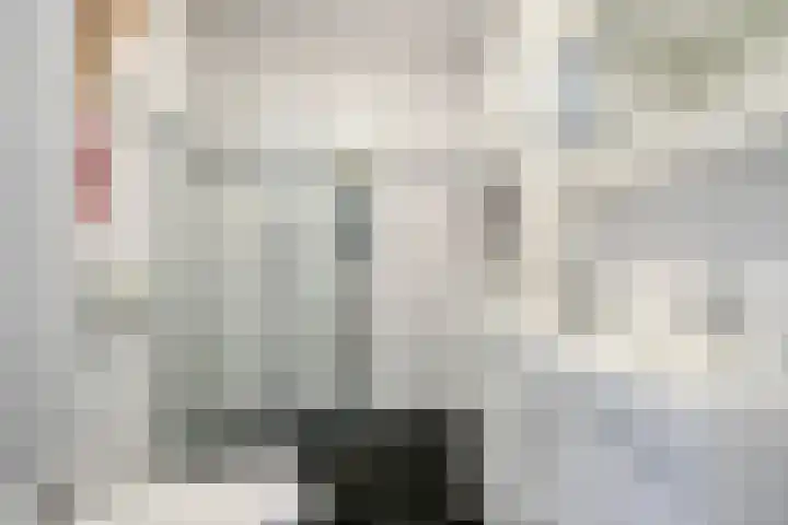 Gelderse Roos 8 Scherpenzeel thumbnail 18