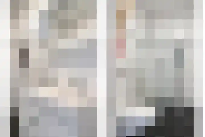 Gelderse Roos 8 Scherpenzeel thumbnail 19